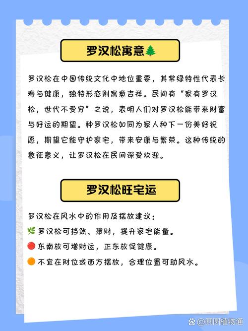 风水院子里种罗汉松有什么好处？