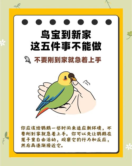 在家养鹦鹉风水如何，适宜吗？