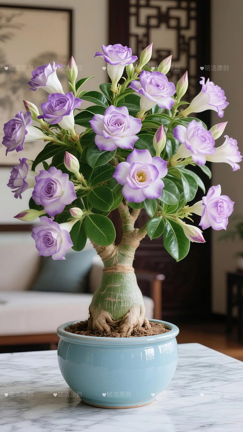 沙漠玫瑰的风水寓意有哪些，在风水学中有什么特殊说法？