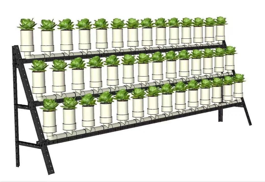 菜园适合养鱼且风水好吗？