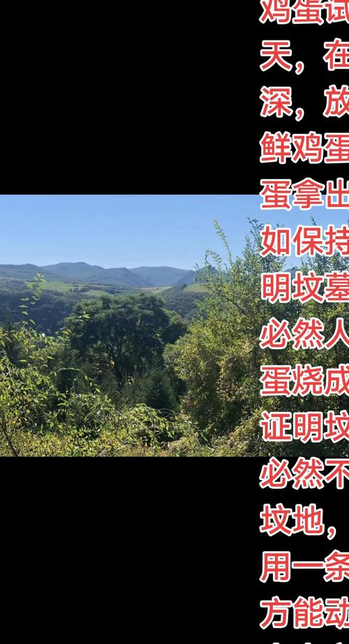 在坟墓中放置鸡蛋真的能破解风水吗？