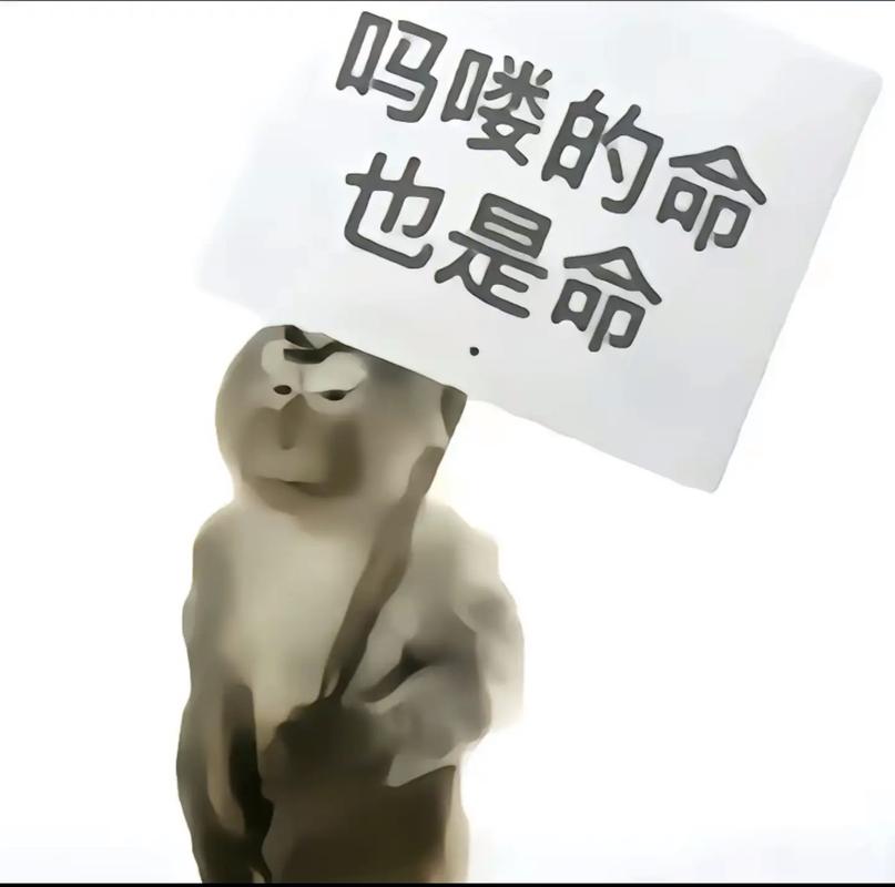 算命先生说我孤独命，那吗喽的命也是命是什么意思呢？