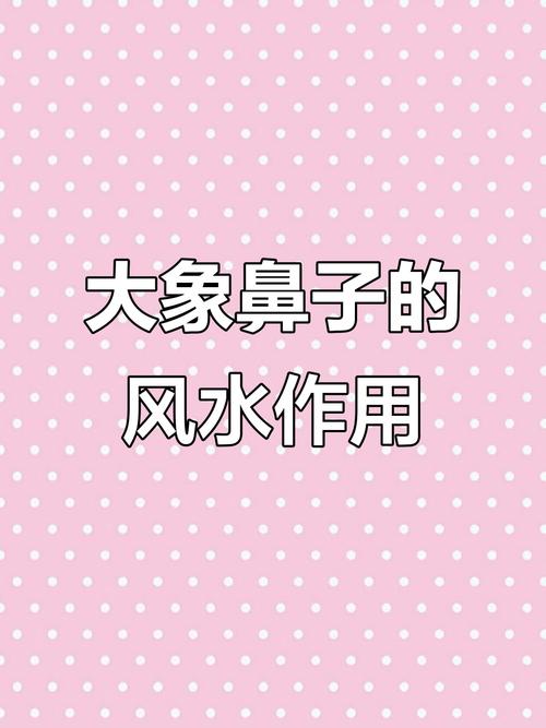 垫鼻梁真的会影响家居风水吗？