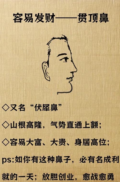 男人鼻子大是啥命？命好的男人鼻子都有哪些特点？