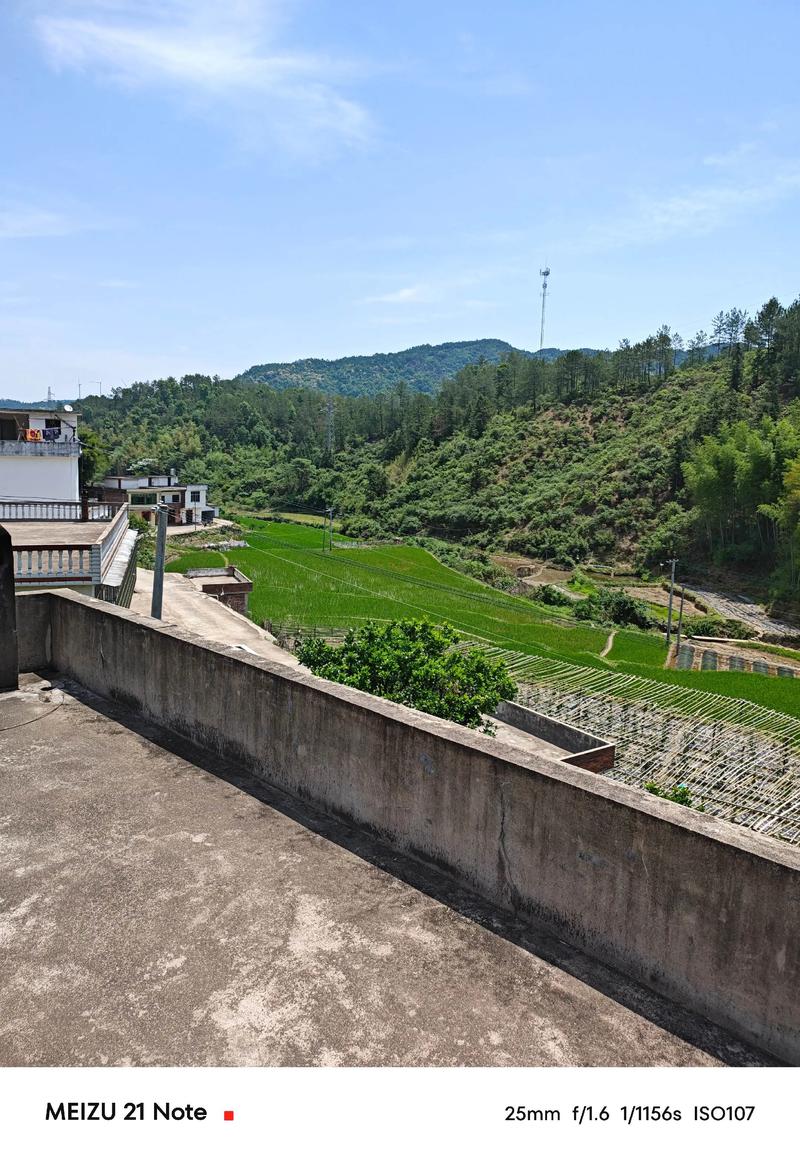 在楼房顶上养龟风水怎么样？适合吗？