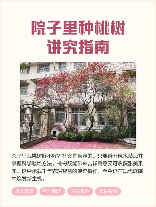 风水学家在住宅周围种植桃树是否适宜？