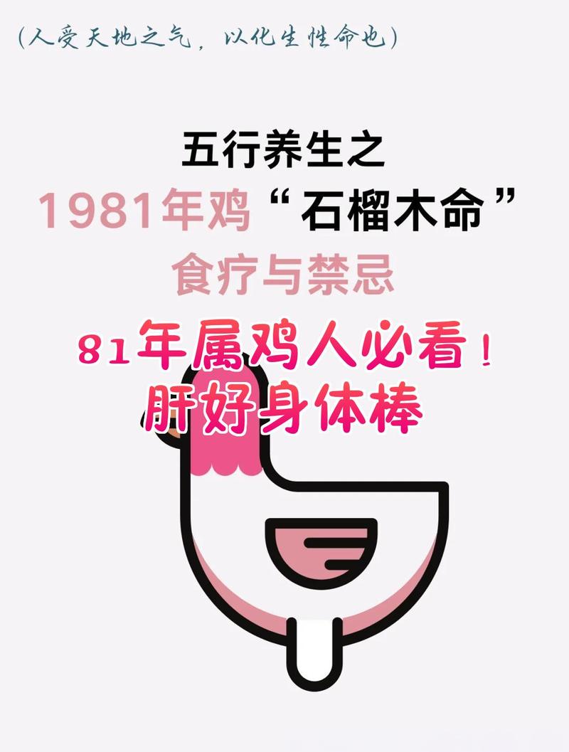 1981年属鸡的人改命是什么？