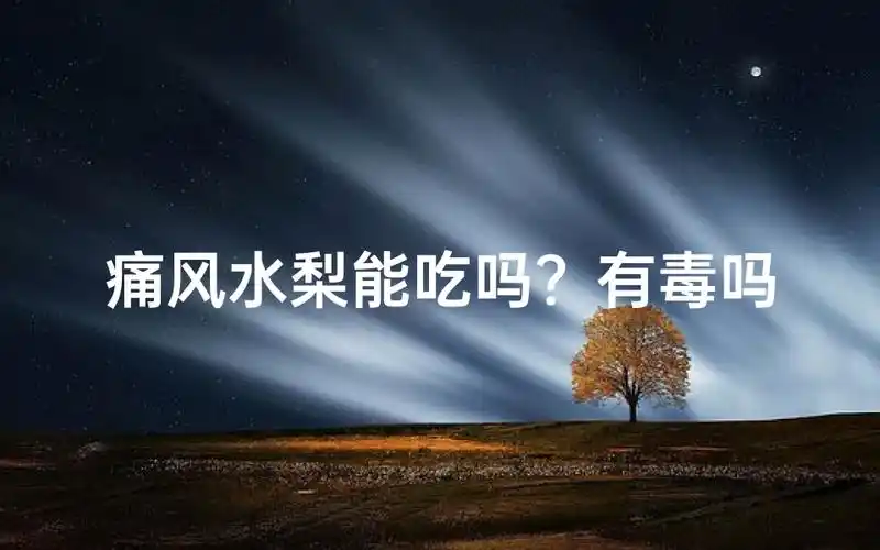 痛风水梨可以安全食用吗？它是否有毒？