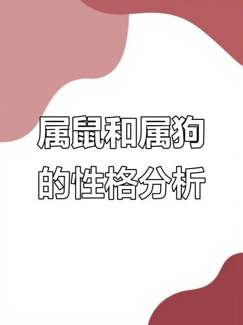 属狗的人在鼠年命运如何？狗与鼠相克还是相生？
