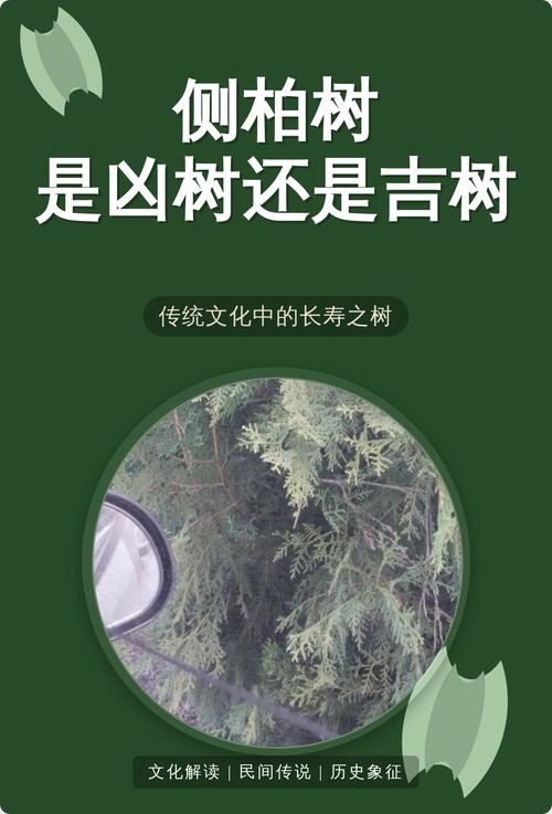 门前这棵大树的风水影响大吗，我能砍掉它吗？