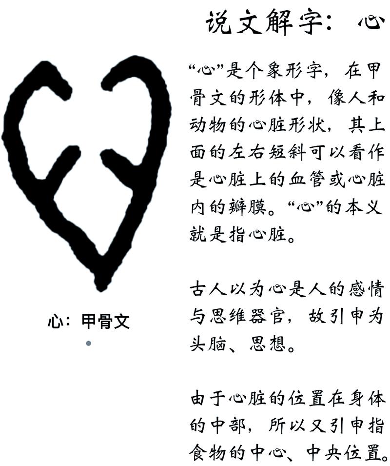 命底下加个心念什么，上下都是心，这是什么意思？