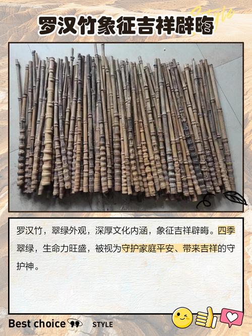 罗汉竹的风水寓意有哪些，嫩详细介绍一下吗？