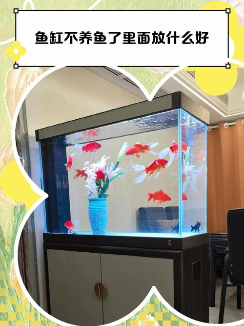 风水学里，鱼缸可以长时间空置不养鱼吗？