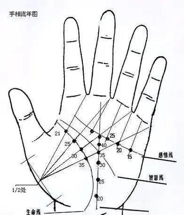 手纹清晰到能看清手掌细节的人命运如何？