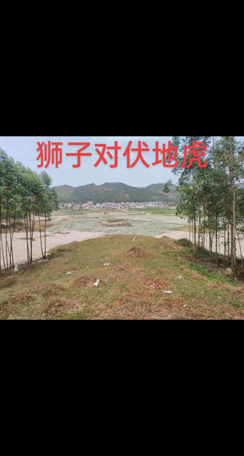 风水布局中，老虎和狮子摆放在一起合适吗？