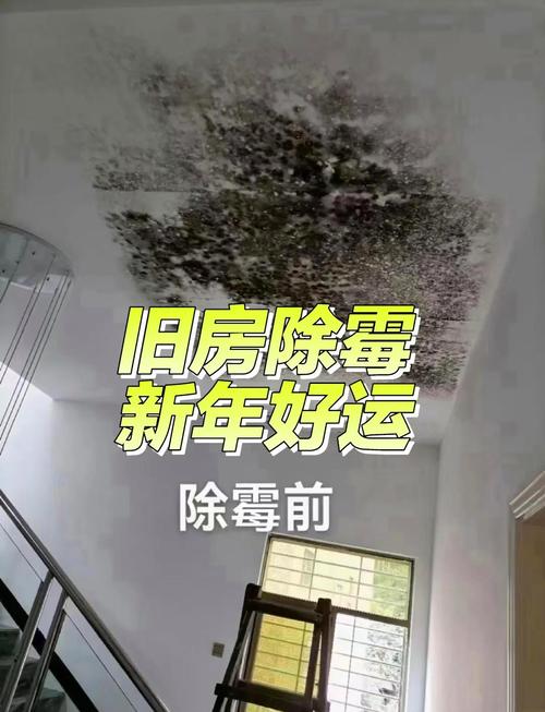 发霉房子对风水有何具体影响？