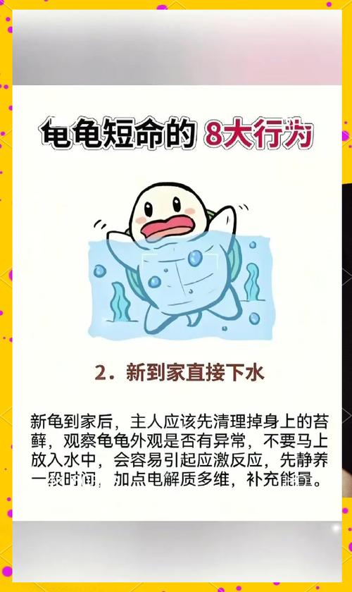 家里养龟对风水有影响吗？