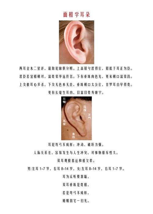 耳朵耳垂尖的人命运如何？耳朵尖是否代表身体某部位？