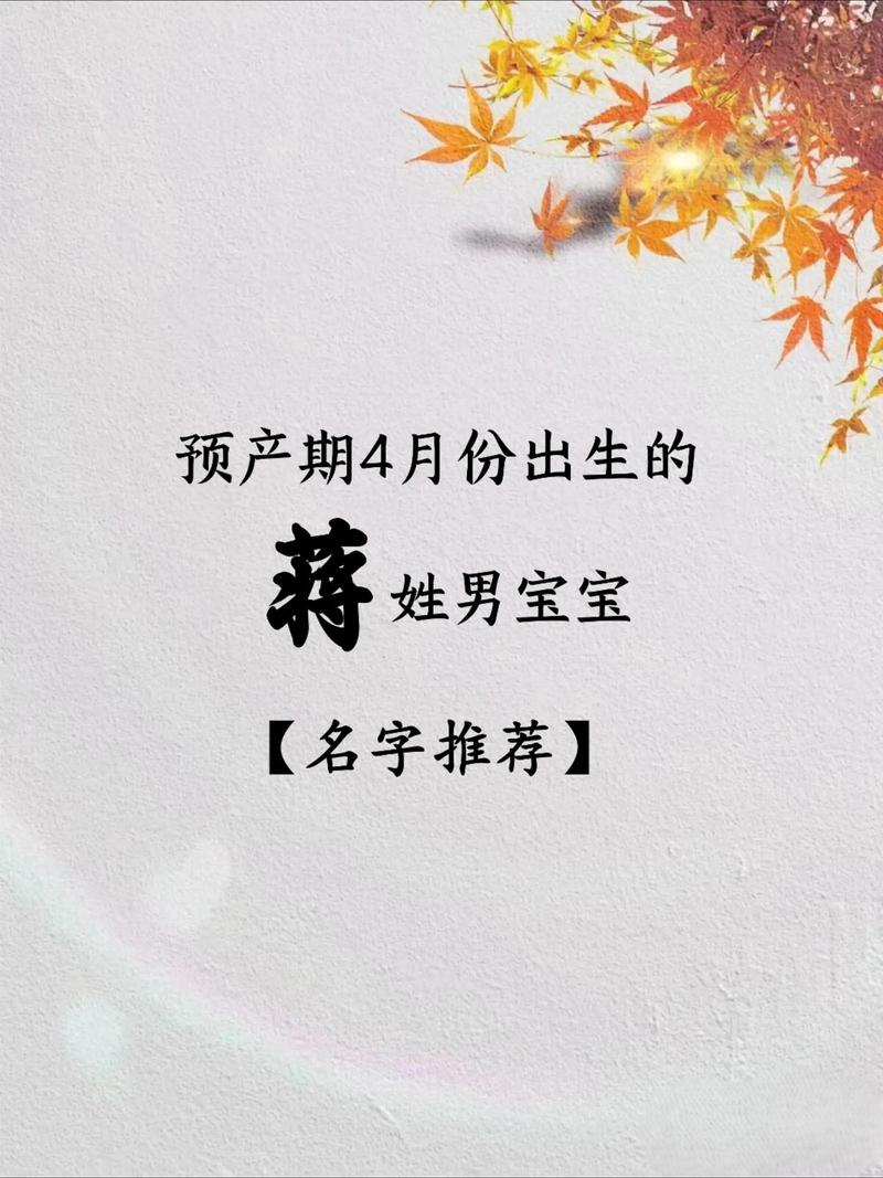 请问有哪些稳重大气的蒋姓男孩名字推荐？