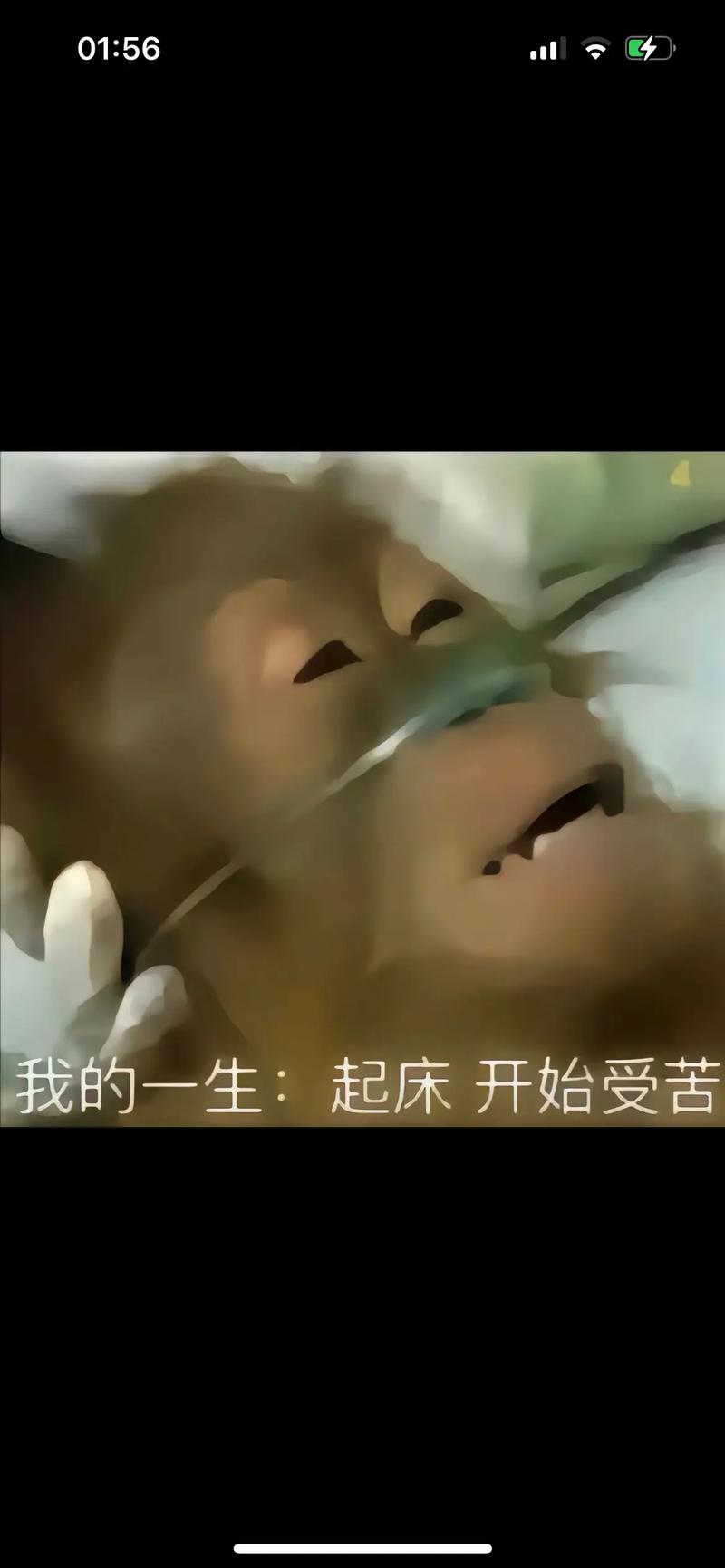 马喽的命也是命，难道就不是宝贵的生命吗？