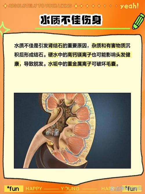 家里存放脏水会对家居风水产生怎样的不良影响呢？