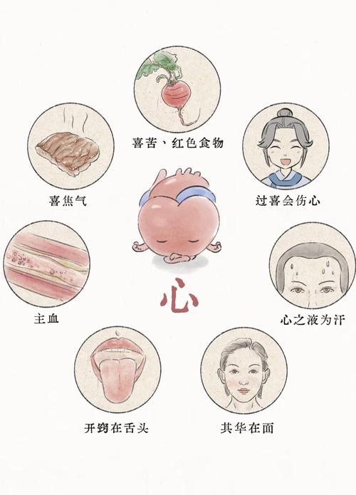 学中医适合哪种命格的人？中医学习者通常具备哪些性格特点？