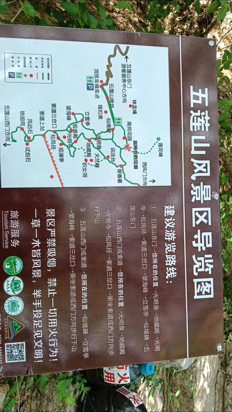 五莲地区有多少人从事风水看风水服务呢？