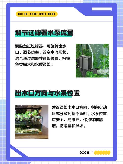 鱼缸中的水流循环是否属于风水学中的活水？