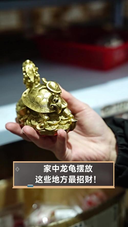 乌龟摆放在家中真的能起到改善风水的作用吗？