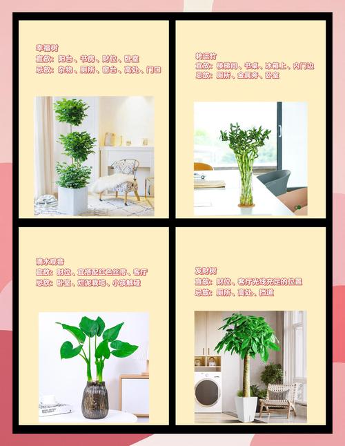 摆放干燥的花卉会对家居风水产生怎样的影响呢？