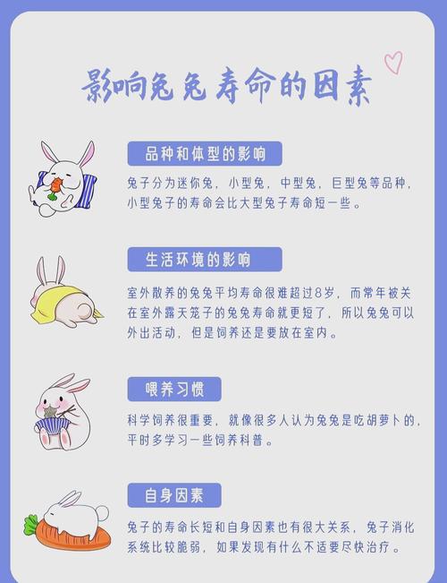 2023年出生的兔子和1999年出生的兔分别是什么命？