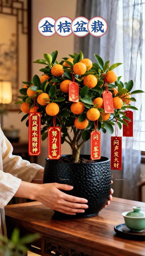 阳台挂灯笼的风水作用有哪些？