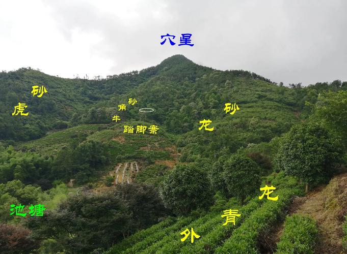 风水中的龙牙位置对，是否意味着该地是好风水？