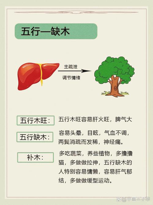 命理中五个木分别是什么命，木在五行中代表哪个器官？
