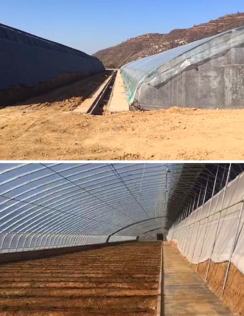 农村大棚改造风水讲究有哪些注意事项？