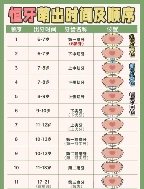 女人牙齿34颗命运如何？这代表什么含义？