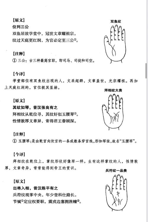 手相看命运，如何查询具体命格？