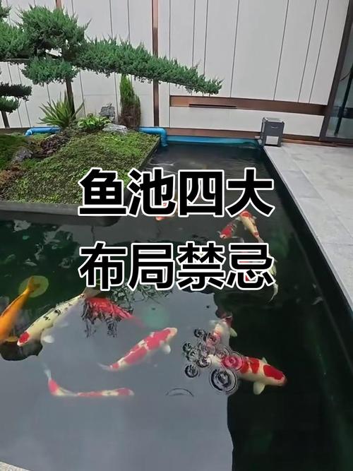 邻居建造鱼池对我的住宅风水会产生怎样的影响？