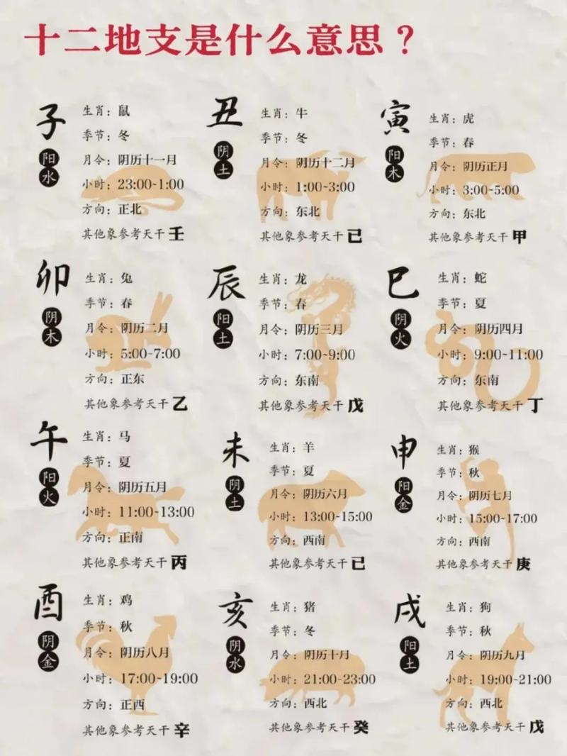 命理学中哪些生肖对应哪些地支？