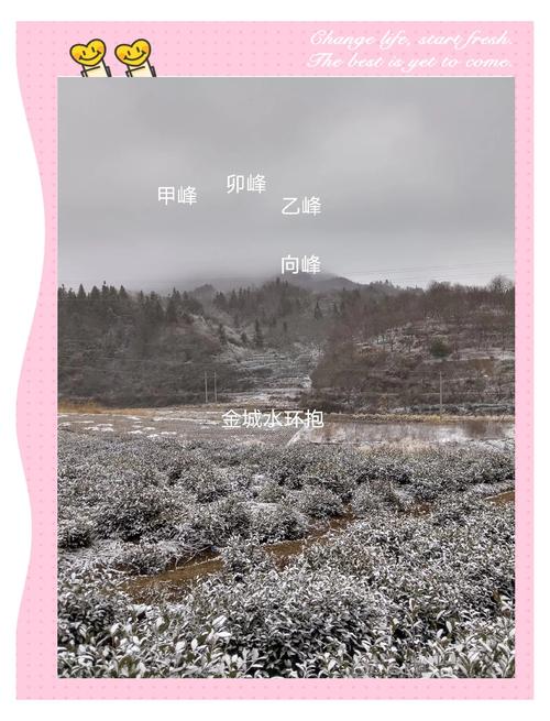 从化墓地风水测算结果准确吗？