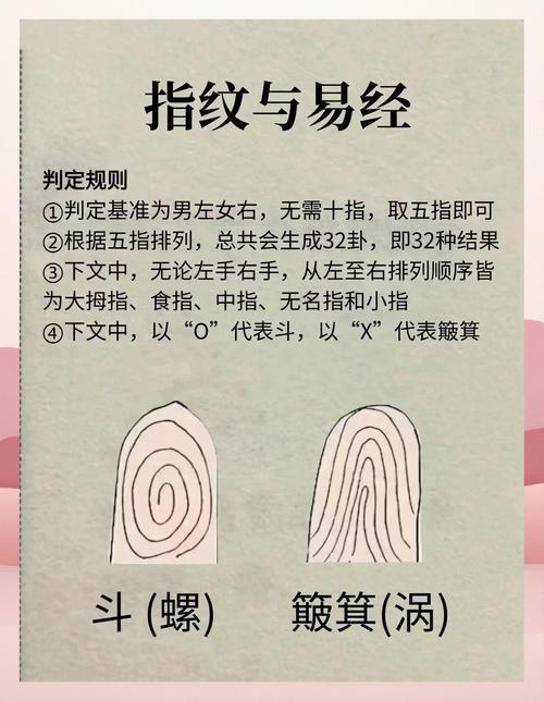 指纹到命关预示着什么？指纹斗和簸箕的命运能否？