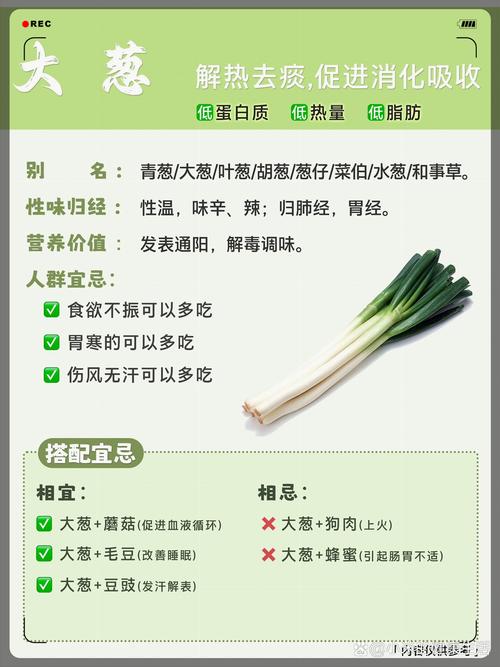 大葱的寓意与风水之间是否存在某种联系？
