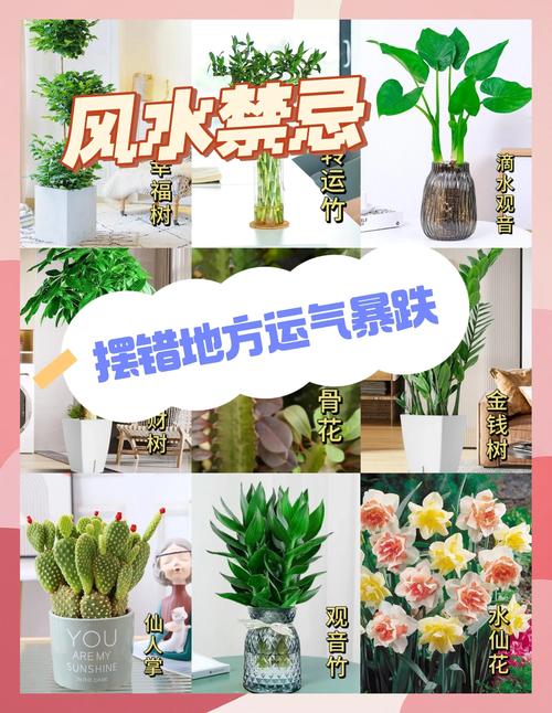 摆放干燥的花卉会对家居风水产生怎样的影响呢？