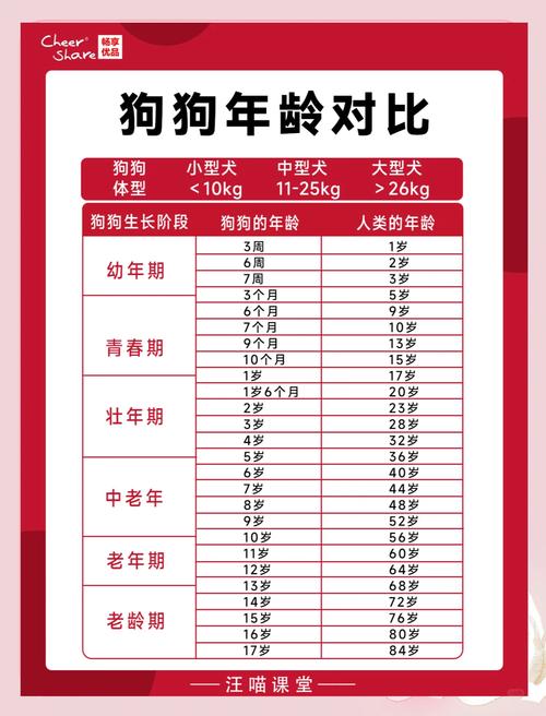 今年属狗的什么命？属鼠的今年又多大岁了？