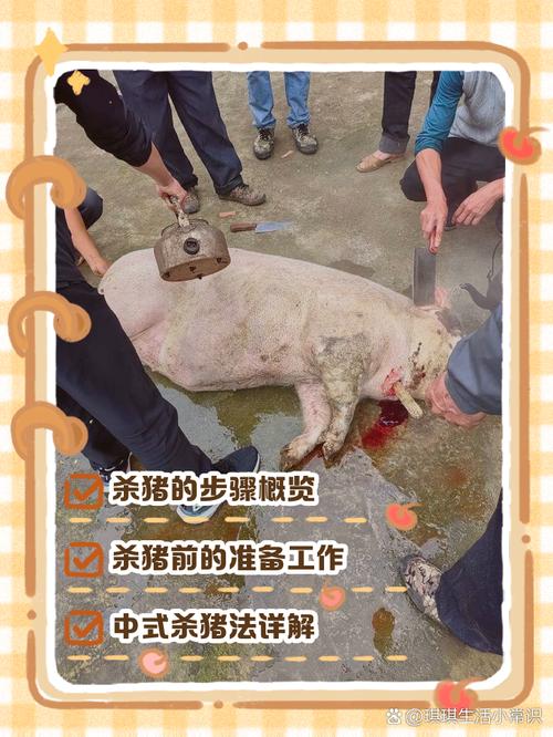 风水养猪是否属于杀生行为的一种？