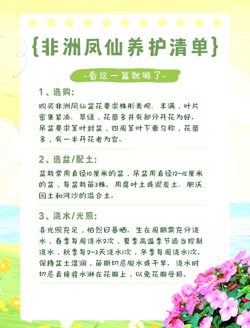 养花草真的能起到养风水的作用吗？