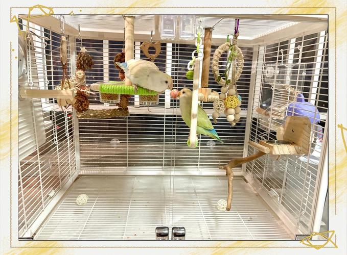 将鸟笼放置狗旁风水适宜吗？
