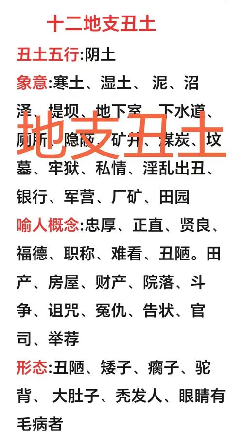 丑土男命地支代表什么，丑土男人究竟长成什么模样？