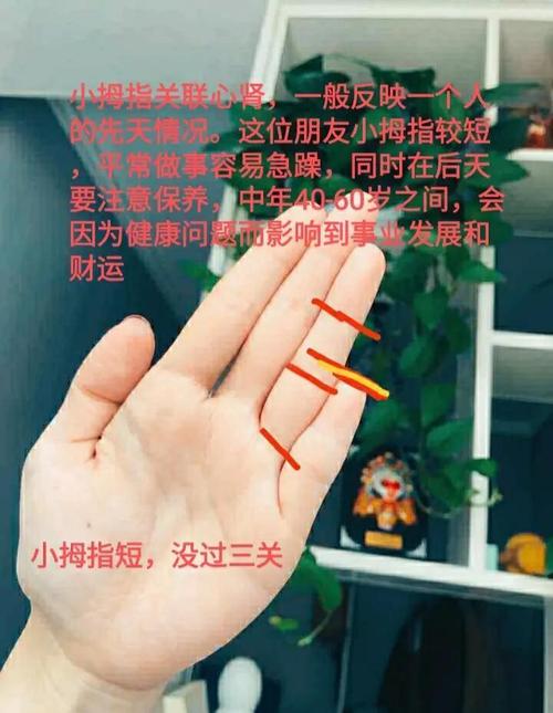 命硬不弯腰和手指弯曲是否预示命运不佳？