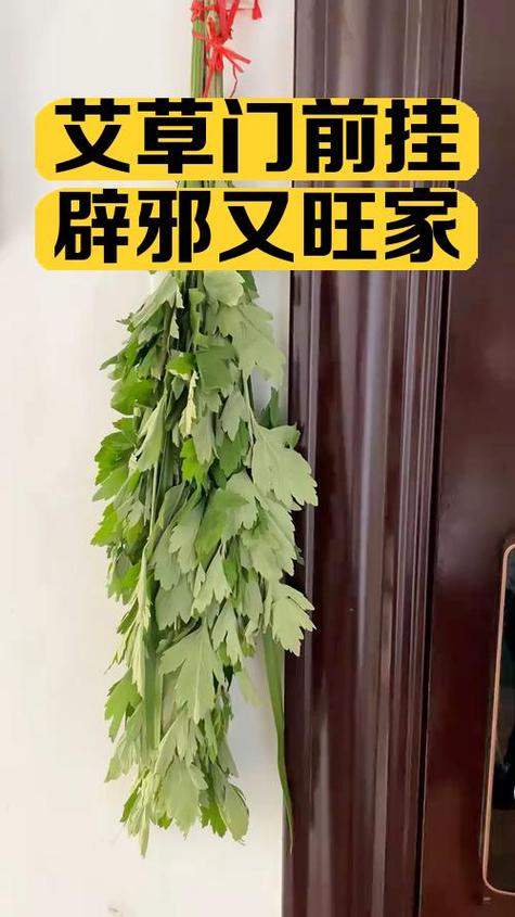 绿色大门风水如何，能避邪吗？